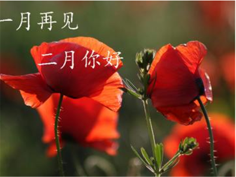 1月再見、2月你好——轉載網絡圖片